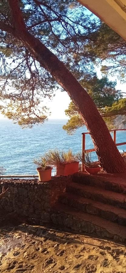 Cinqueterre National Park Sea View Apartment ฟรามูรา ภายนอก รูปภาพ