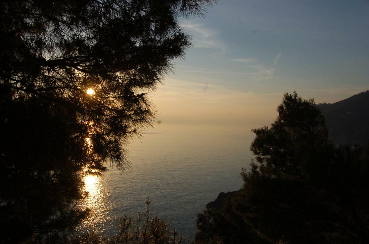 Cinqueterre National Park Sea View Apartment ฟรามูรา ภายนอก รูปภาพ